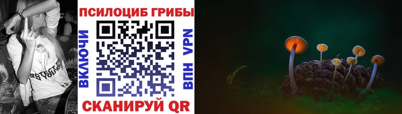 Галлюциногенные грибы мухоморы Сергач