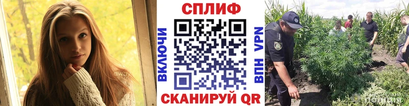 сайты даркнета состав  МЕГА онион  Конопля THC 21%  Сергач  купить наркоту 